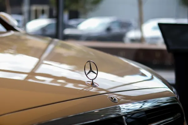 벳케이브 카지노 안드로이드/iOS 앱